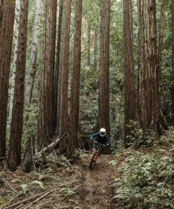 POC Resistance Pro DH Glove 10 POC Resistance Pro DH Glove