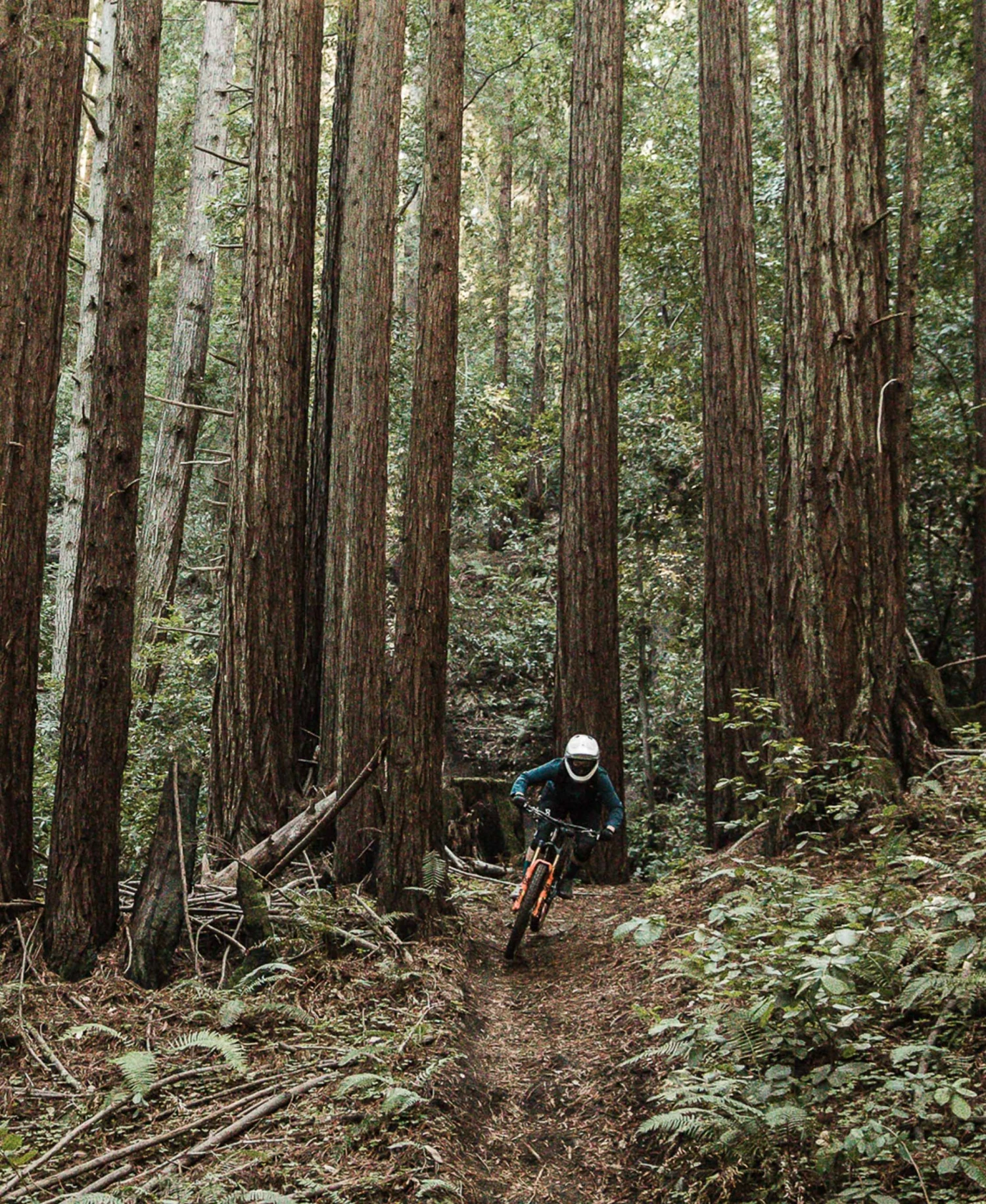 POC Resistance Pro DH Glove 5 POC Resistance Pro DH Glove