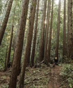 POC Armor VPD System Torso